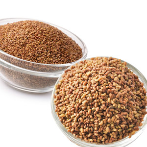 Alfalfa | Botánico de origen agrícola | Producto de apoyo animal - Product Image 3