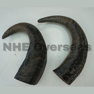 Corne de buffle organique durable mâche pour des friandises durables sûres et saines de chiens pour le nettoyage et la récréation dentaires - Product Image 1