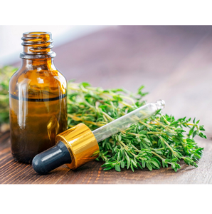 น้ำมันหอมระเหยไธม์บริสุทธิ์กลั่นไอน้ำสารสกัดสมุนไพรธรรมชาติสำหรับภูมิคุ้มกันสนับสนุนสุขภาพระบบทางเดินหายใจ - Product Image 6