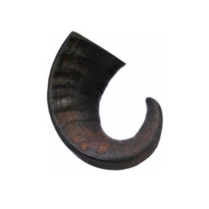 Buffalo Dog Chew Horn Handmade Handicraft For Genuine Buffalo Horn Dog Chew <b>Foods</b> Cat Use Standard Quality - Product Image 4