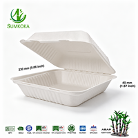 Contenants alimentaires en bagasse écologiques, résistants à la graisse et compatibles micro-ondes, boîtes à clapet en bagasse, boîtes à emporter jetables
