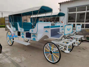 Prix d'usine bon marché OEM chariot de mandrin citrouille électrique 6 places sans chevaux <span class=keywords><strong>wagon</strong></span> électrique de tourisme - Product Image 6