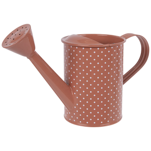 Pot d'arrosage décoratif en métal pour plantes, arrosoir manuel de jardin pour plantes, arrosoir de stockage pour plantes aquatiques à fleurs avec vente - Product Image 4