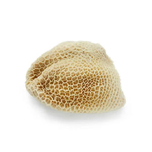 Omaso de Res Congelado HALAL de Alta Calidad, Venta al por Mayor, Envasado al Vacío, Proceso LQF, Sin Azúcar, Sin Grasas Trans, con Tripa, Grasa, Pies y Cuerpo - Product Image 2