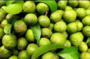 IQF Frozen Dracontomelon Entero y en Rodajas Envasado al Vacío para Exportación - Product Image 3