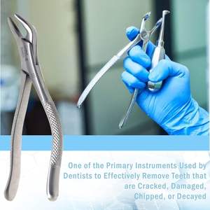 Fórceps dentales manuales aprobados por la CE, instrumento inferior de cuerno de vaca para extracción instrumental - Product Image 6