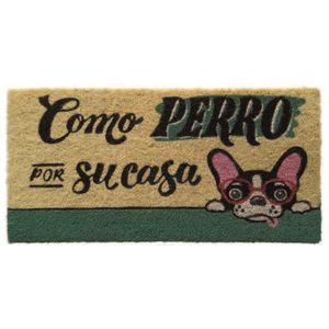Tappetino per zerbino in fibra di cocco bianca, Cane a casa, 35x70cm (Dintex 50800) - Product Image 1