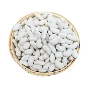 Premium Quality Wholesale White Kidney Beans Hot Selling Natural White Sugar Bean, New Crop Harvest