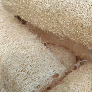 Wholesale Natural Biodegradable Loofah <b>Sponges</b> From Vietnam 99 Gold Data Bulk Prices Skincare Solution - Product Image 1