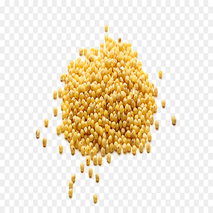 Vente en gros de graines de millet biologiques de haute qualité, sans OGM, naturelles et saines, en vrac, aliments à grains jaunes séchés, d'excellente qualité. - Product Image 2