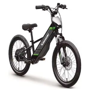 NOUVEAU! KAWASAK!S ELEKTR0DE 20 SP0RTS VÉLOS ÉLECTRIQUES - Product Image 1