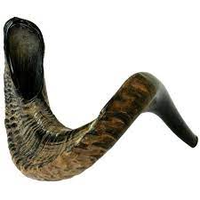 Shofar en corne de bélier de qualité supérieure, poli naturellement, pour la décoration religieuse et la maison, conforme aux exigences casher, thème nautique, taille personnalisée
