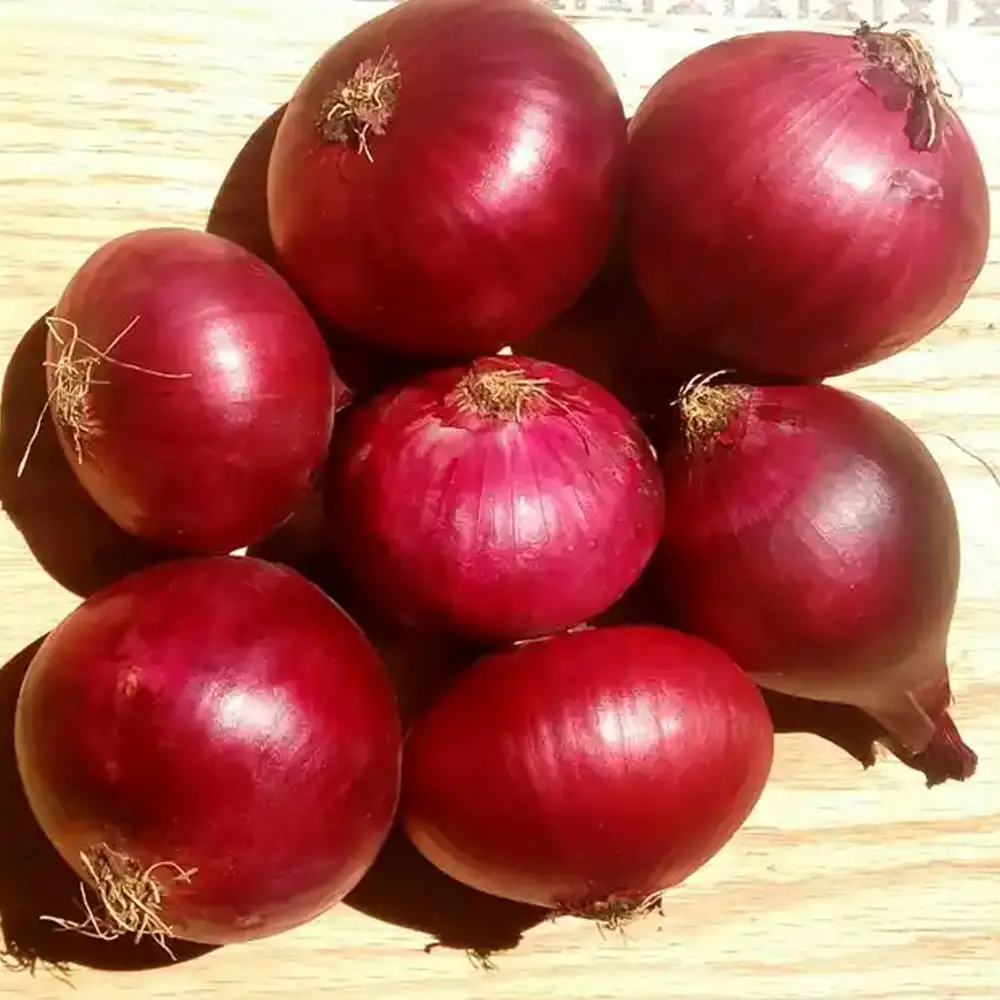 Premium Verse Rode Uien-Kwaliteit Van Boer Tot Bord Voor Culinaire Uitmuntendheid Groothandels Bulkleverancier