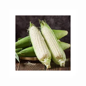 Stock fresco nuovo raccolto agricolo mais bianco NON-GM Popcorn intero mais bianco dolce congelato