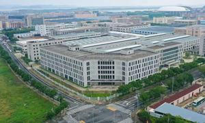 Suture absorbable en catgut chromique pour la chirurgie vétérinaire et des animaux de compagnie avec absorption uniforme - Product Image 5