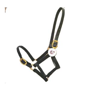 Licou de cheval en PVC de qualité supérieure avec couleur noire, équipement pour cheval, fabricant de grossiste International - Product Image 1