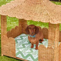 Lit en rotin de haute qualité pour maison pour animaux de compagnie pour chien chat Cage fils d'acier conception OEM variété personnalisée de couleurs du Vietnam