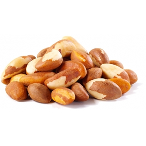 เมล็ดขนุน - Product Image 5