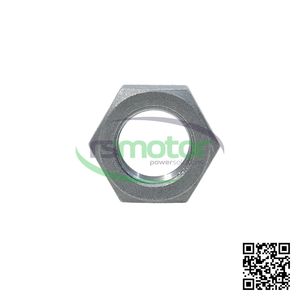 Tuerca Hexagonal Original OEM para Controladores de Motor MWM RS-01181415, Componente Esencial - Product Image 2