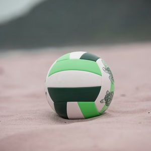 Balón de Voleibol de Playa Profesional 2026, Alta Calidad, Entrenamiento al Aire Libre, PVC Suave al Tacto, Gran Venta - Product Image 5