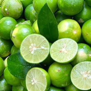 Cítricos Frescos de Alta Calidad, Limón Sin Semillas/Lima Sin Semillas, Ricos en Nutrientes - Product Image 3