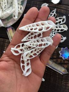 Conchas de Strombus bellamente cortadas, ideales para el arte del mosaico y diseños decorativos hechos a mano - Product Image 2