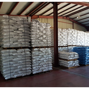 Vente en gros de pistaches crues séchées naturelles biologiques pistaches grillées collations saines et nutritives - Product Image 6