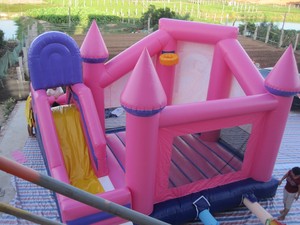 Castillo Inflable Combinado con Temática de Cartones Animados para Niños - Product Image 5