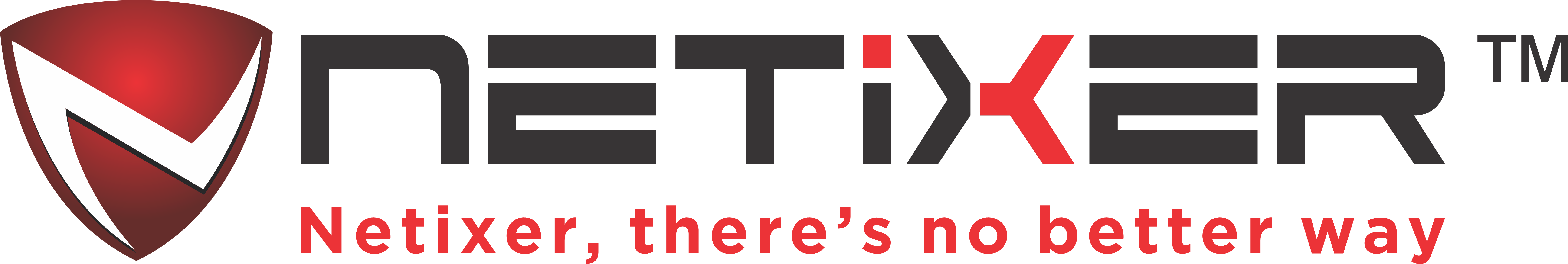 NETIXER (OPC) PRIVATE LIMITED logo