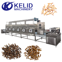 Machine de séchage au micro-ondes entièrement automatique à commande PLC pour larves d'araignées bleues (BSF), insectes et vers de farine, avec certification CE