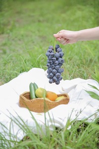 Paniers de rangement circulaires en rotin naturel faits à la main, écologiques, modernes, multifonctionnels, paniers à pain, paniers à fruits en osier - Product Image 4