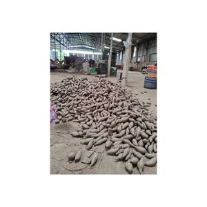 Patate douce congelée du Viet Nam Concentration crémeuse Prêt à chauffer et à servir pour les services de traiteur - Product Image 4