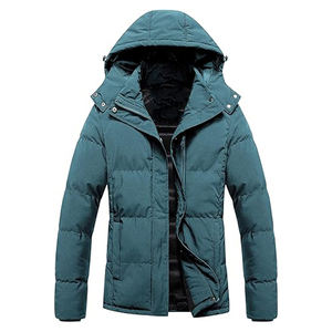 Chaqueta acolchada de lana de invierno para hombre, Puffr brillante con cuello con capucha, cremallera, resistente al agua, logotipo frontal, carcasa de nailon - Product Image 1