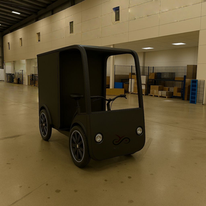 Bicicletta Elettrica da Carico a Quattro Ruote con Doppia Batteria da 250W, Grande Capacità, Vendita all'Ingrosso - Product Image 6