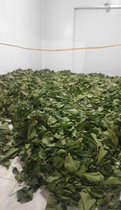 ทุเรียนเทศแห้งจากเวียดนามส่วนผสมชากราวิโอลา - Product Image 4