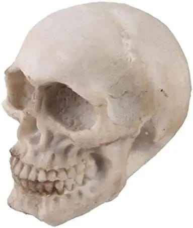 ที่กำหนดเอง