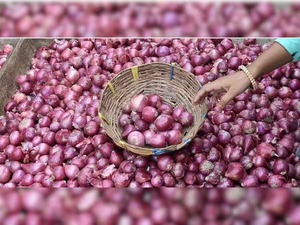 Oignons frais biologiques de qualité supérieure, enrichisseur de saveur naturelle pour la santé et les compléments nutritionnels - Product Image 2