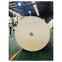 Acheter Prix de gros d'usine Papier enduit PE vierge anti-graisse Rouleaux de gobelets Matière première pour gobelets en papier Boîtes de bols en provenance d'Inde