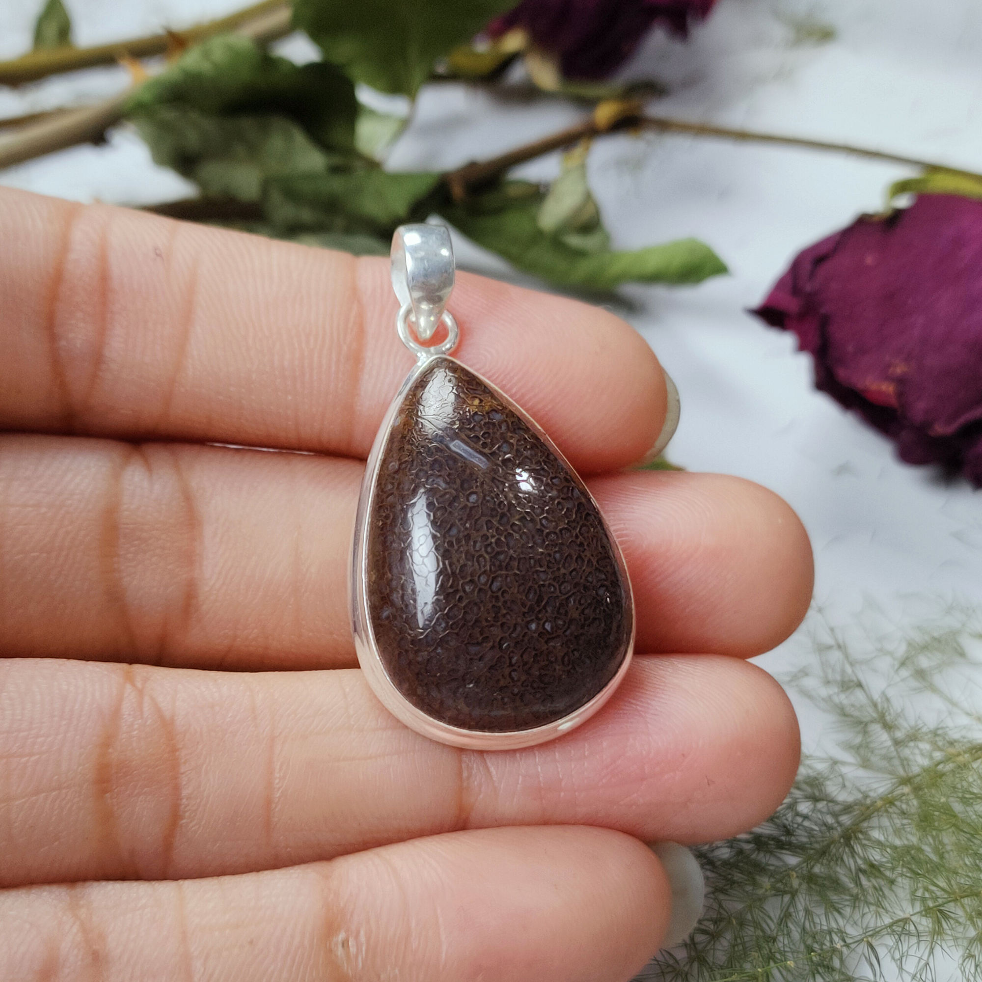 Jasper Hueso de dinosaurio