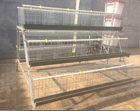 Nouvelles cages à poules pondeuses de grande capacité, écologiques, en acier galvanisé, pour 10000 ou 5000 poules pondeuses, HJ-AC160