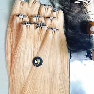 Colección Cloudyhair 613 Extensiones de cabello humano virgen recto 100% Cabello humano vietnamita crudo alineado con cutícula - Product Image 1