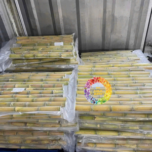 Cubes de canne à sucre congelés portion IQF emballés pour les boissons froides Desserts transformation des aliments morceaux de canne naturelle fabriqués au Vietnam en vrac - Product Image 2