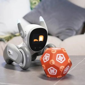 ลูน่า หุ่นยนต์อัจฉริยะเพื่อบ้านอัจฉริยะ - Product Image 5