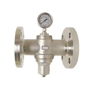 Z-Tide Stainless Steel 316 Direct Acting Pressure Reducing Valve Water Regulator for water system and air system