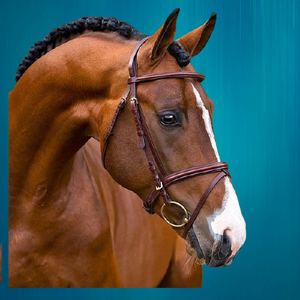 Venta al por mayor de alta calidad Diamante Horse Bridle 2018 Venta caliente única brida para caballos - Product Image 2