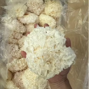 Champignon de gelée blanc Tremella naturel produit à partir de matériaux de champignons purs, adapté aux plats sucrés et à l'utilisation dans les boissons mélangées, Vietnam - Product Image 1