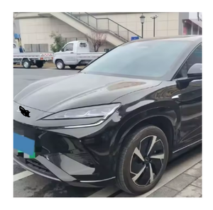 Auto Usado en Excelentes Condiciones, B_Y_Ds Sea Lion 07, Año 2026 - Product Image 2