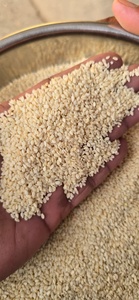 Graines de sésame décortiquées 99,99 % pures, graines de sésame blanches pour la boulangerie, la pâtisserie et la transformation alimentaire - Product Image 2