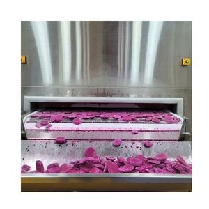 Tranches de fruits du dragon congelés rouge et blanc de haute qualité fruits tropicaux naturels exportation de gros - Product Image 1