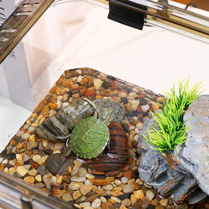 PET Plastic Mini Aquarium Accessory Rectangle-Shaped Turtle Tank 28*19*13cm Turtle Tank with <b>Set</b> 2 stones and climbing platform - Product Image 2